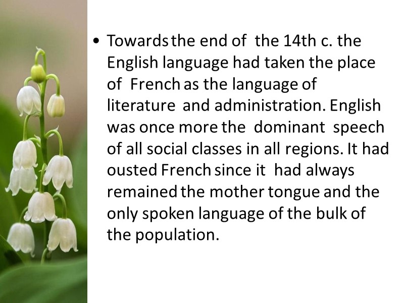Towards the end of  the 14th c. the English language had taken the